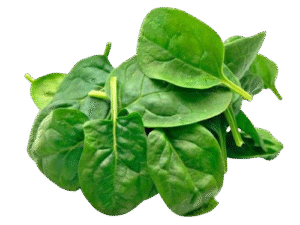 Espinaca