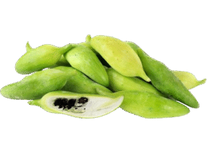 Achojcha