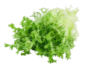 Lechuga Hid. Escarola