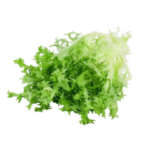Lechuga Hid. Escarola