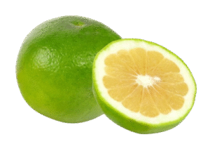 Naranja 7 - Sabores