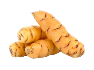Oca