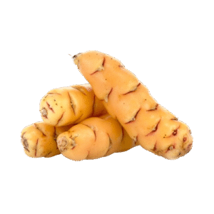 Oca