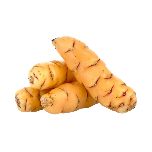 Oca