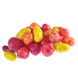 Papaliza
