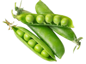 Arveja