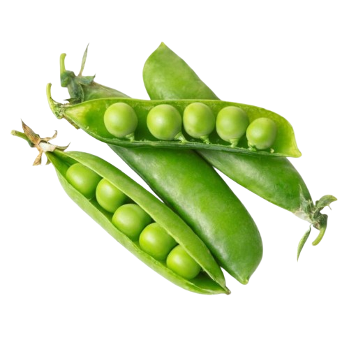 Arveja