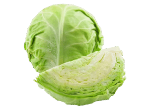 Repollo Blanco
