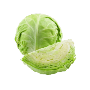 Repollo Blanco