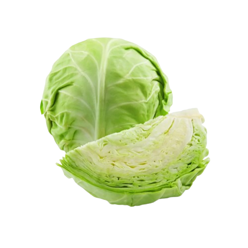 Repollo Blanco