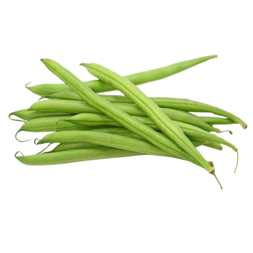 Vainita