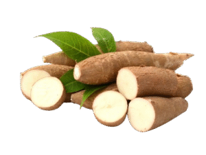 Yuca