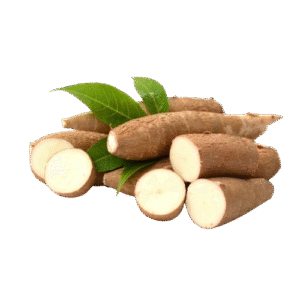 Yuca