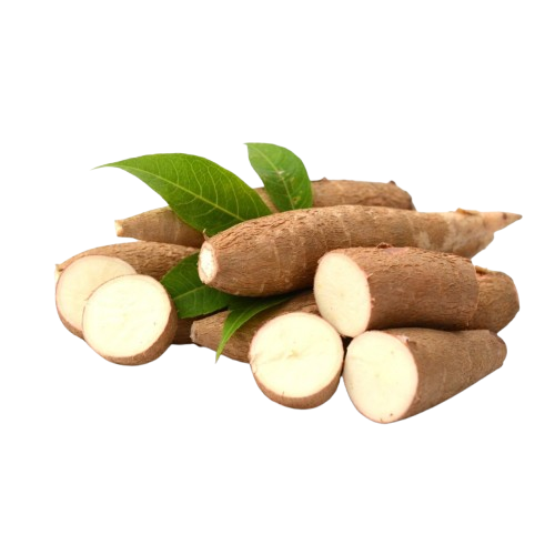 Yuca