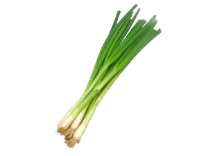 Cebollin