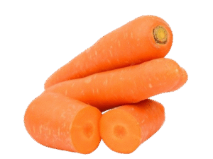 Zanahoria