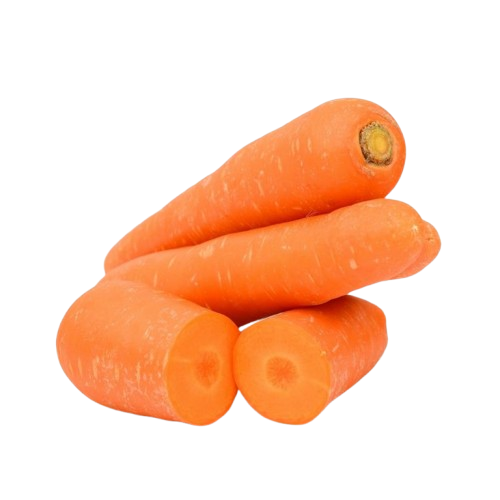 Zanahoria