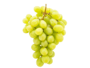 Uva Blanca