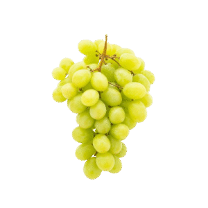 Uva Blanca