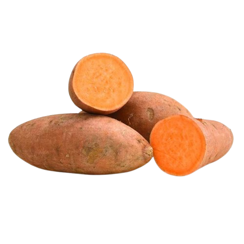 Camote