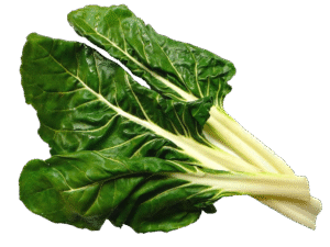 Acelga