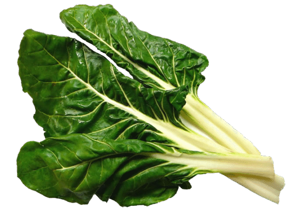 Acelga