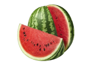 Sandia