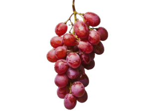 Uva Rosada