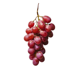 Uva Rosada